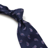 【FRANCO BASSI】ミニペイズリーネクタイ【Made in Italy】