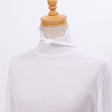 フライスシアータートル