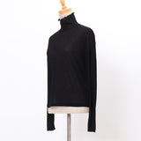 フライスシアータートル