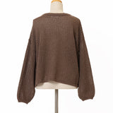 ラメ混メッシュニットプルオーバー