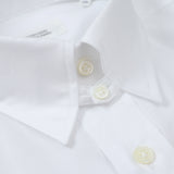 HITOYOSHI ロイヤルオックスタブカラー【Made in Japan】