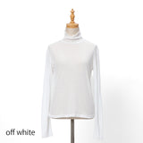 シアーフライスタートル