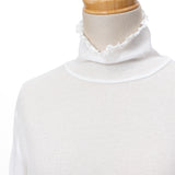 シアーフライスタートル